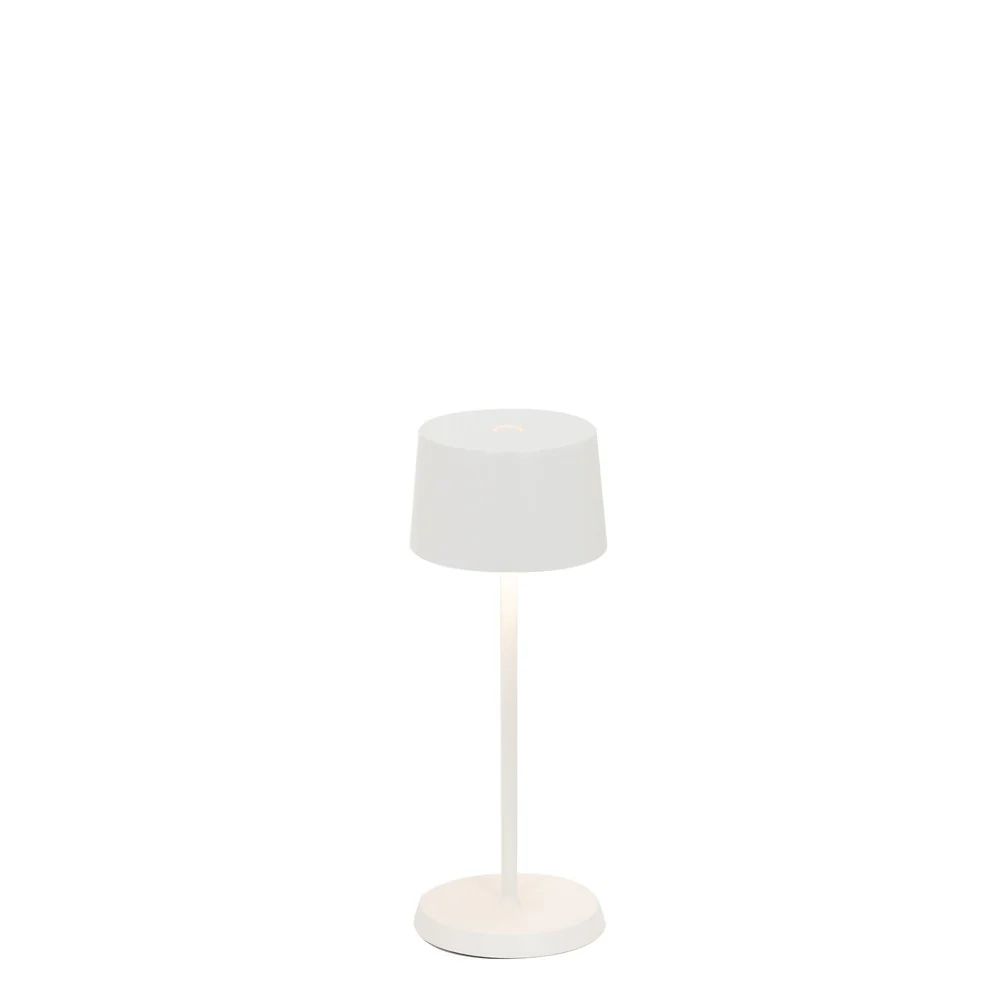 Miniatura 9