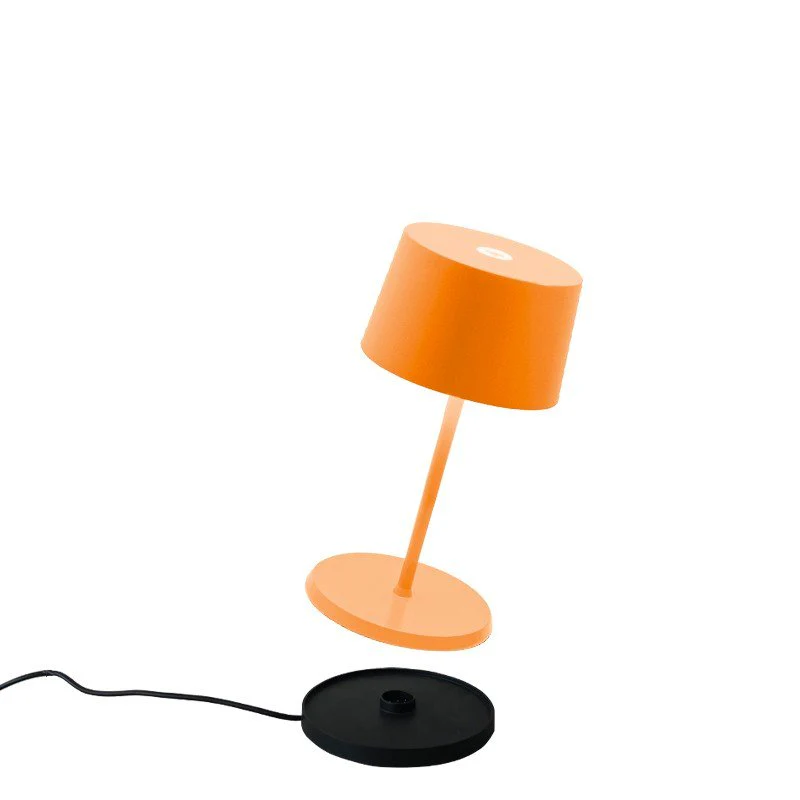 Miniatura 10