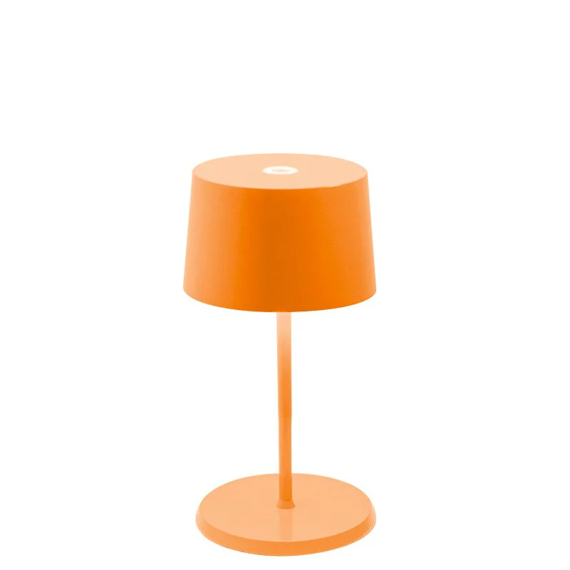 Miniatura 9
