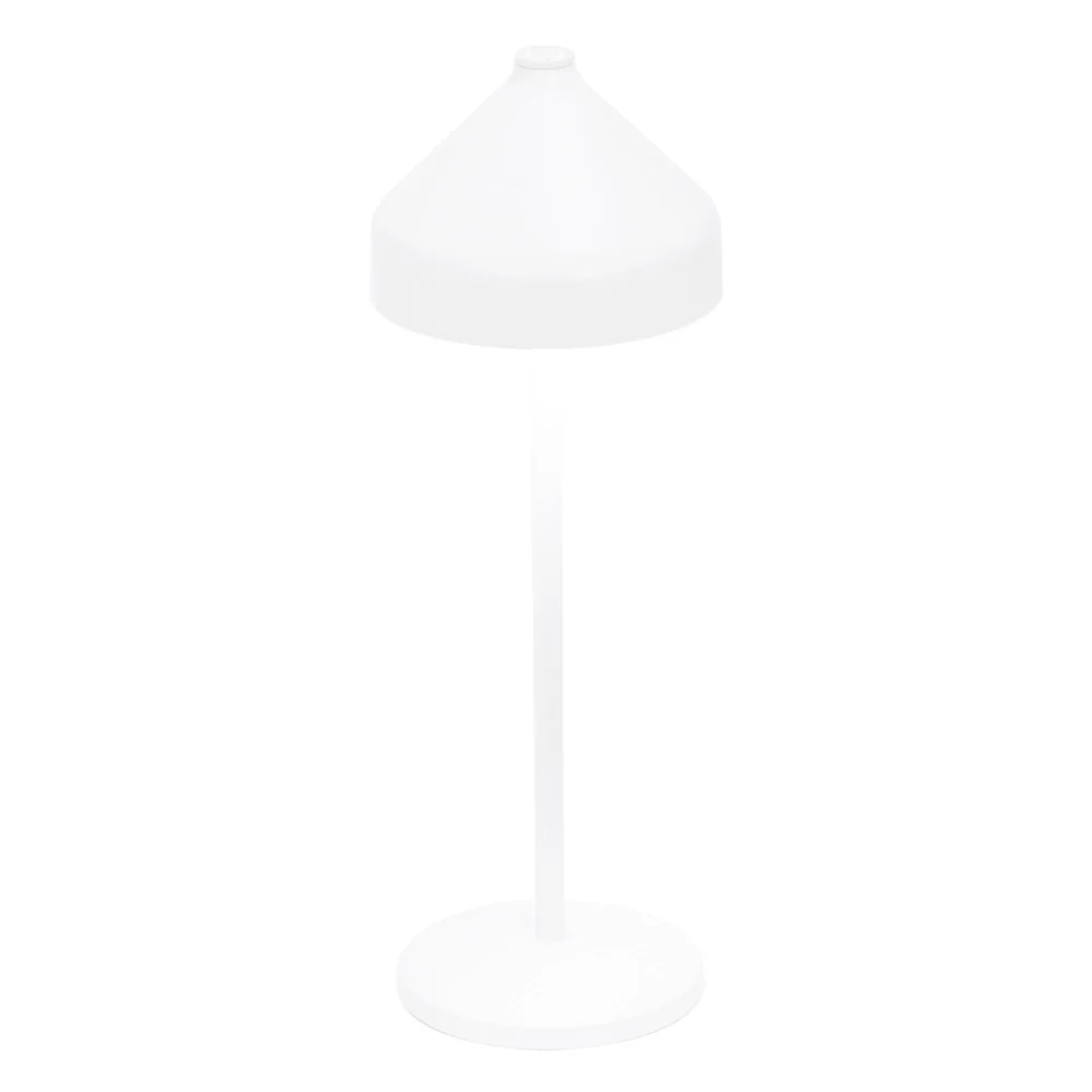 Miniatura 10