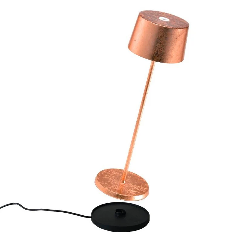 Miniatura 12