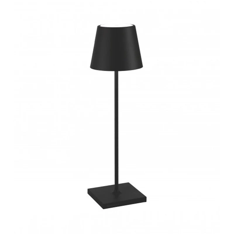 Miniatura 13