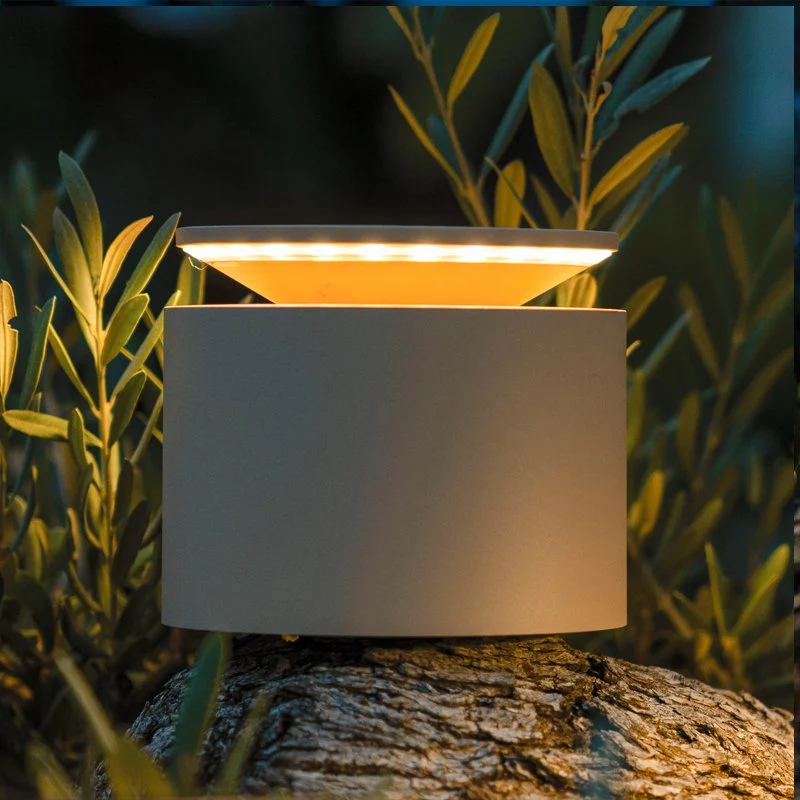 Miniatura 8